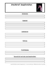 Seepferdchen-Steckbriefvorlage.pdf
